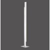 Paul Neuhaus Q-TOWER Stehleuchte LED Aluminium, 2-flammig, Fernbedienung
