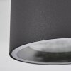 Macoupin Deckenleuchte Schwarz, 1-flammig