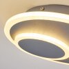 Harea  Deckenleuchte LED Grau, 1-flammig