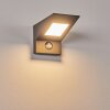 Matlava Außenwandleuchte LED Anthrazit, Weiß, 1-flammig, Bewegungsmelder