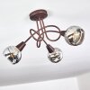 Warga Deckenleuchte LED Bronze, 3-flammig