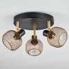 Pipisu Deckenleuchte Gold, Messing, Schwarz, 3-flammig