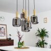 Maliali Pendelleuchte Gold, Messing, Schwarz, 5-flammig