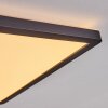 Boyero LED Panel Schwarz, 1-flammig