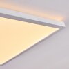 Boyero LED Panel Weiß, 1-flammig