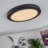 Canditas LED Panel Schwarz, 1-flammig