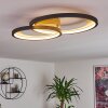 Baiyin Deckenleuchte LED Gold, 1-flammig