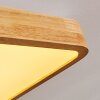 Batamoto LED Panel Holz hell, Weiß, 2-flammig, Fernbedienung, Farbwechsler