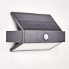 Wiborg Solar-Außenwandleuchte LED Anthrazit, 1-flammig, Bewegungsmelder