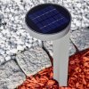 Portmore Solarleuchte LED Grau, 1-flammig