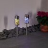 Gorizia Solarleuchte LED Edelstahl, 2-flammig, Farbwechsler