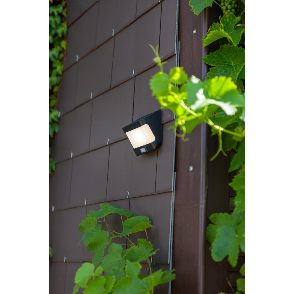 Lutec TRY Solar-Außenwandleuchte LED Anthrazit, 1-flammig, Bewegungsmelder main product photo