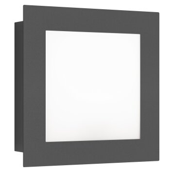 LCD 3007LED Außenwandleuchte Schwarz, 1-flammig