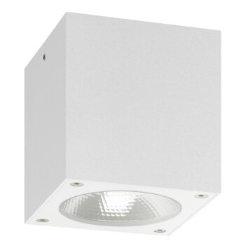 LCD 5029 Außendeckenleuchte LED Weiß, 1-flammig