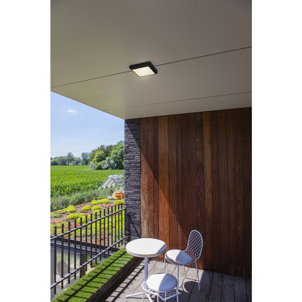 Lutec Helena Außendeckenleuchte LED Anthrazit, 1-flammig main product photo