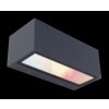 Lutec Gemini Außenwandleuchte LED Anthrazit, 2-flammig, Farbwechsler