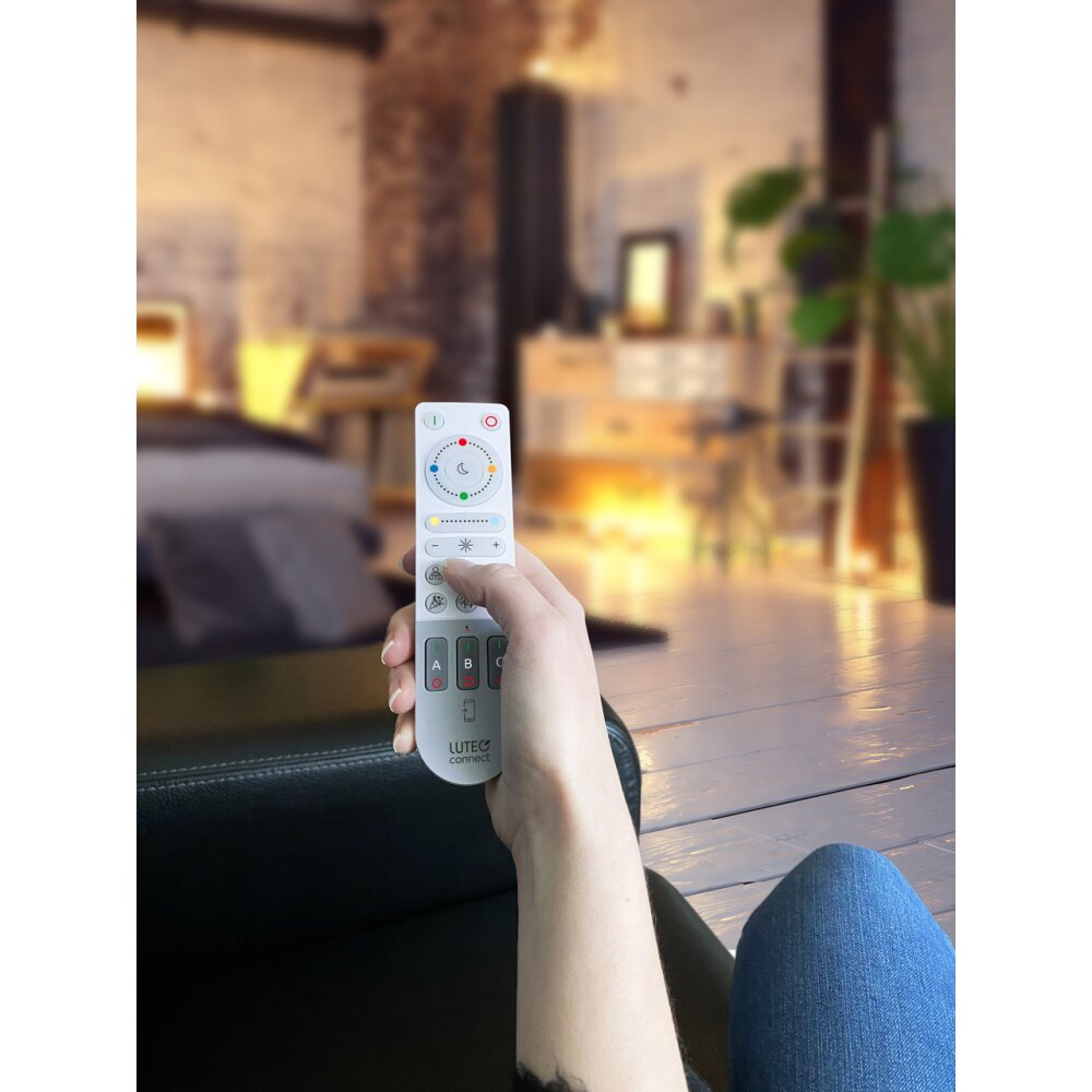 Lutec Remote Fernbedienung Grau, Weiß main product photo