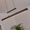 Ifo Pendelleuchte LED Schwarz, 1-flammig