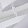 Cochato Deckenleuchte LED Weiß, 1-flammig
