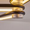 Olul Deckenleuchte LED Schwarz, Weiß, 2-flammig