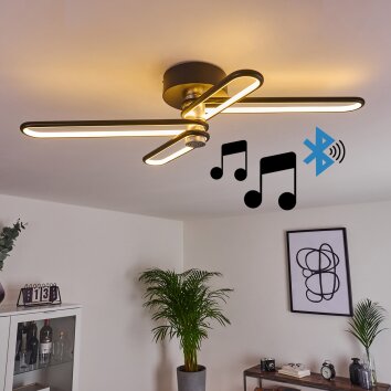 Olul Deckenleuchte LED Schwarz, Weiß, 2-flammig