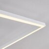 Moya Deckenleuchte LED Weiß, 1-flammig