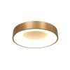Steinhauer Ringlede Deckenleuchte Gold, Weiß, 1-flammig