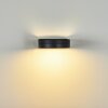 Falatasa Außenwandleuchte LED Anthrazit, 1-flammig