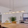 Hogana Pendelleuchte LED Nickel-Matt, 1-flammig