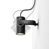 Philips Hue Lily Gartenspot Basis-Set LED Schwarz, 1-flammig, Farbwechsler