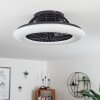 Piraeus  Deckenventilator LED Schwarz, 1-flammig, Fernbedienung