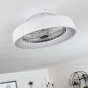 Moli Deckenventilator LED Weiß, 1-flammig, Fernbedienung