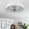 Moli Deckenventilator LED Weiß, 1-flammig, Fernbedienung