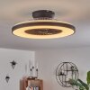 Qualiano Deckenventilator LED Schwarz, Weiß, 1-flammig, Fernbedienung