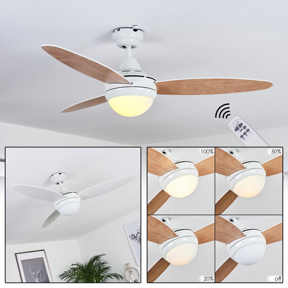 Beltiglio Deckenventilator Holz dunkel, Weiß, 2-flammig, Fernbedienung main product photo