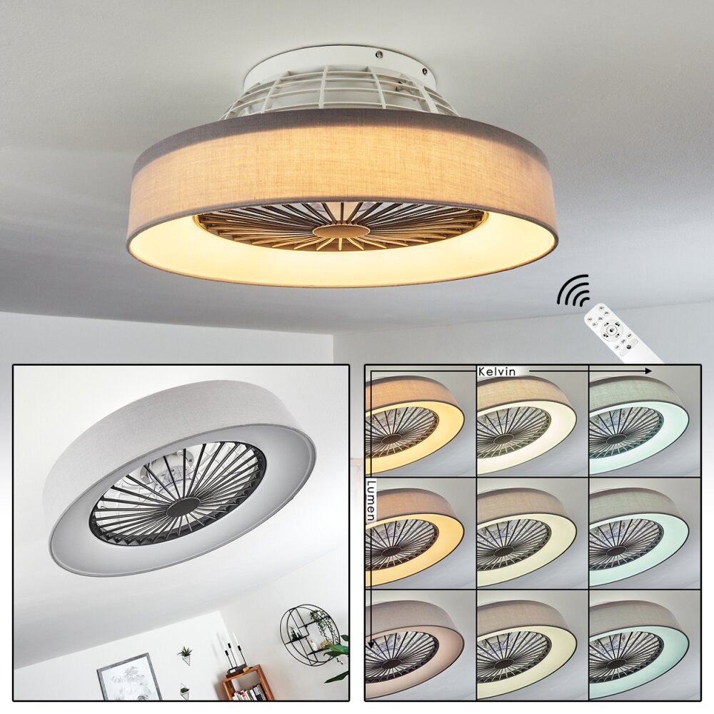 Moli Deckenventilator LED Grau, Weiß, 1-flammig, Fernbedienung main product photo
