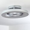 Penon Deckenventilator LED Silber, 1-flammig, Fernbedienung