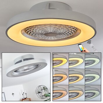 Penon Deckenventilator LED Silber, 1-flammig, Fernbedienung