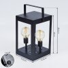 Sciolze Solarleuchte LED Schwarz, Transparent, Klar, 2-flammig