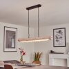Rodeche Pendelleuchte LED Klar, Naturfarben, 2-flammig