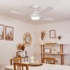 Tjerne Deckenventilator mit Beleuchtung LED Weiß, 1-flammig