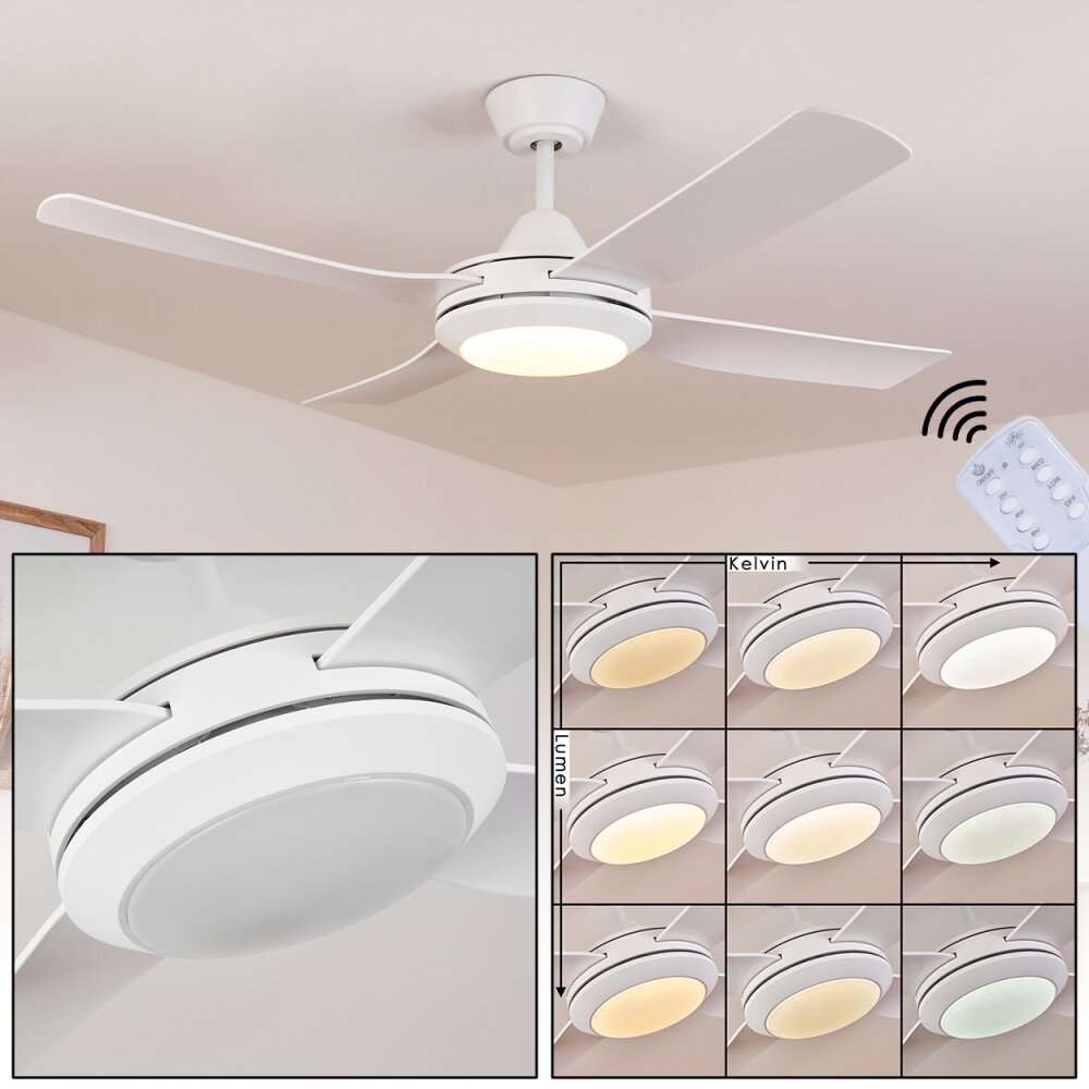 Tjerne Deckenventilator LED Weiß, 1-flammig, Fernbedienung main product photo