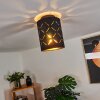 Tallaboa Deckenleuchte Gold, Schwarz, 1-flammig