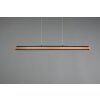 Trio Leuchten Deacon Pendelleuchte LED, 1-flammig