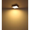 Globo DORO Deckenpanel LED Holzoptik, Schwarz, 1-flammig, Fernbedienung