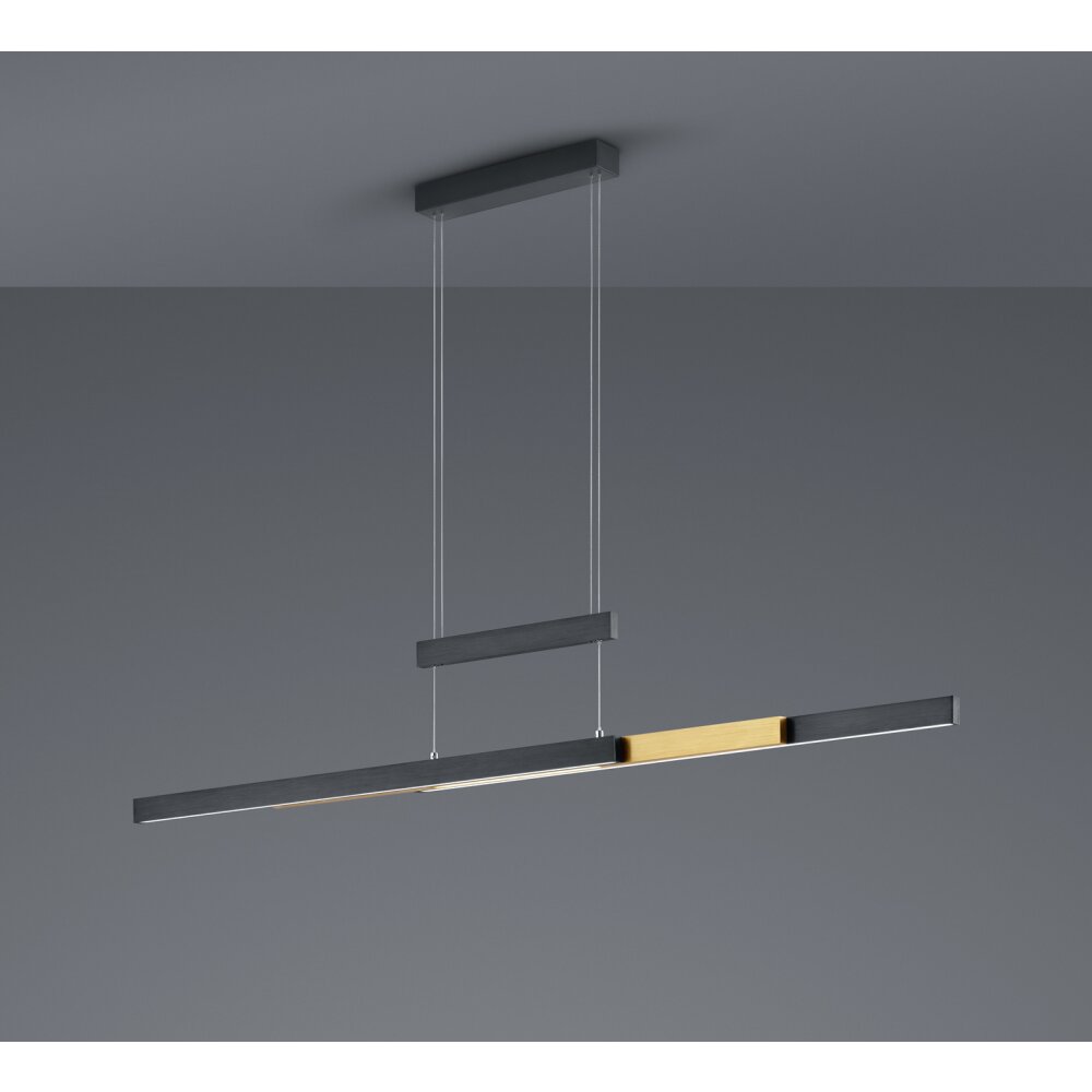 Trio Leuchten Trajan Pendelleuchte LED Schwarz, 1-flammig main product photo