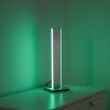 Paul Neuhaus Q-ADRIANA Tischleuchte LED Aluminium, 2-flammig, Fernbedienung