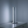 Paul Neuhaus Q-ADRIANA Tischleuchte LED Aluminium, 2-flammig, Fernbedienung