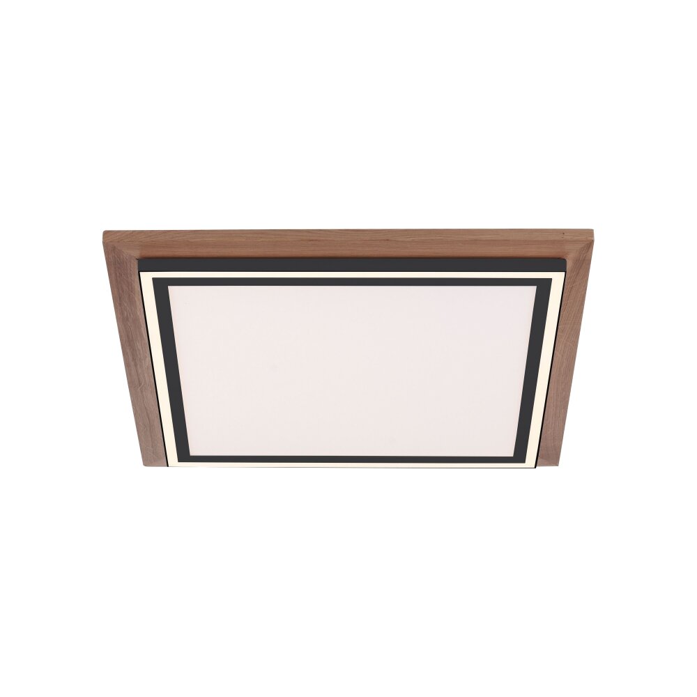 Paul Neuhaus PALMA Deckenleuchte LED Naturfarben, Schwarz, 2-flammig, Fernbedienung main product photo