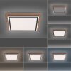 Paul Neuhaus PALMA Deckenleuchte LED Naturfarben, Schwarz, 2-flammig, Fernbedienung